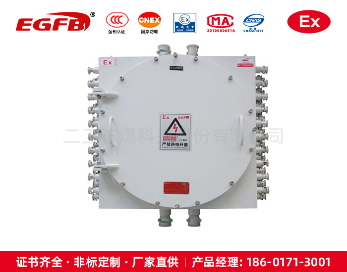 防爆接線箱增安型